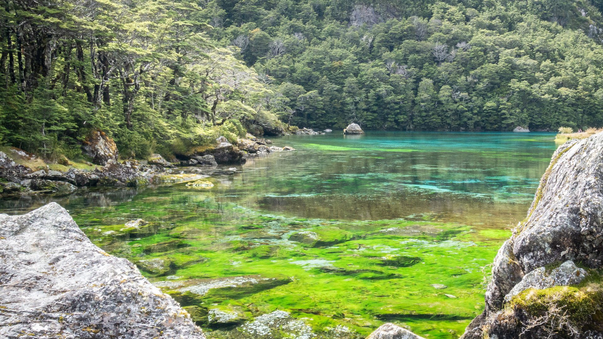 Pillar Water