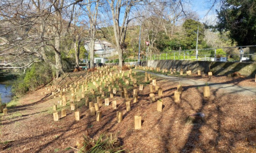 fe0eee76 9ba2 436e 8c38 ff801058e49e