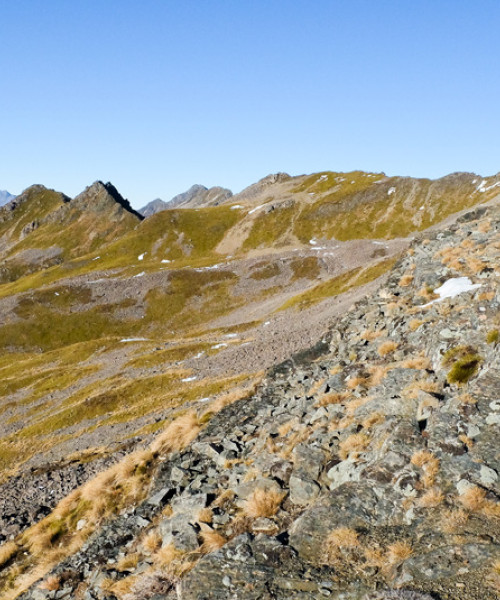 shutterstock 464351492 Nelson Lakes DLoadedB4
